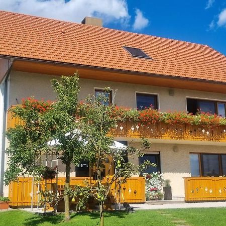 Apartma Ana In Manca Begunje na Gorenjskem Esterno foto
