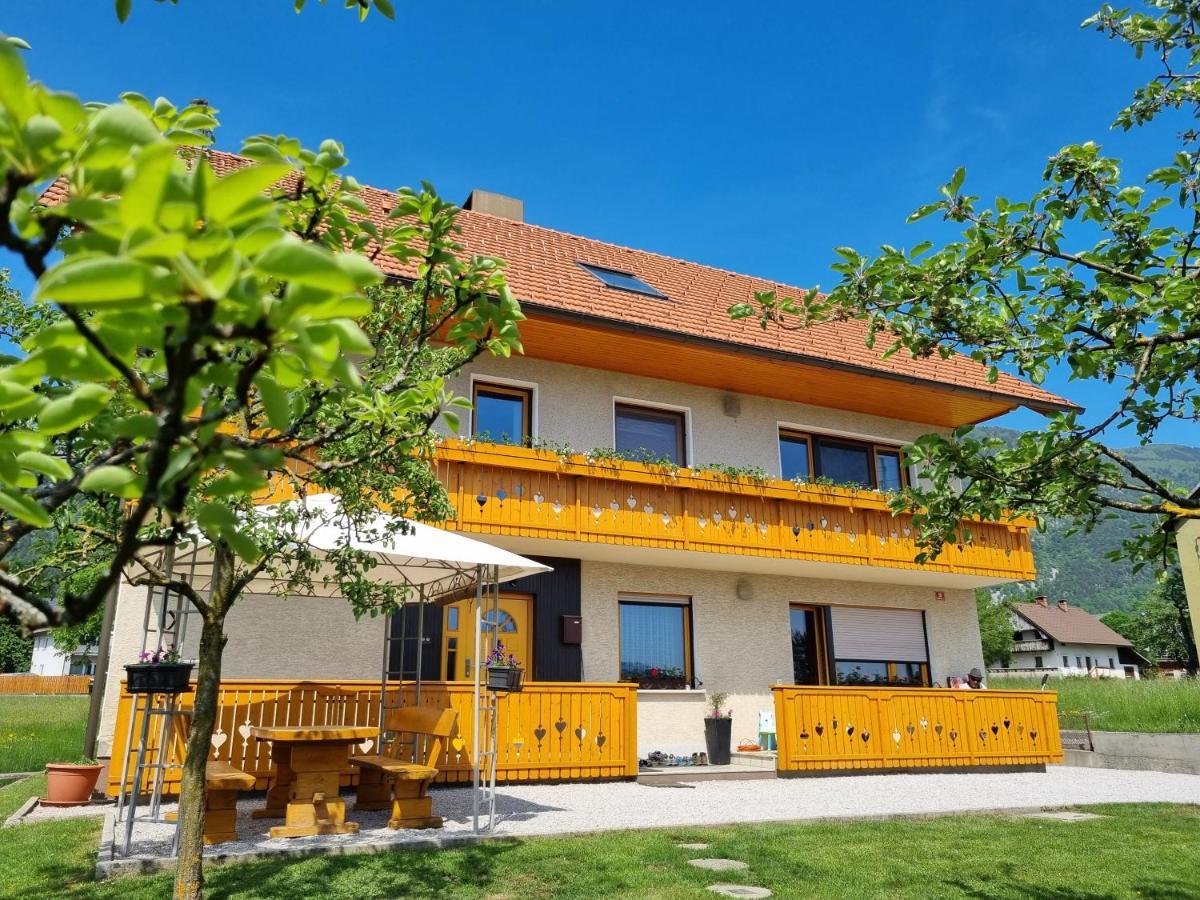Apartma Ana In Manca Begunje na Gorenjskem Esterno foto
