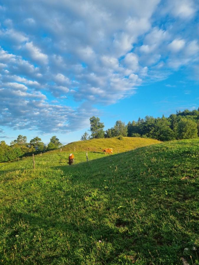 Apartma Ana In Manca Begunje na Gorenjskem Esterno foto