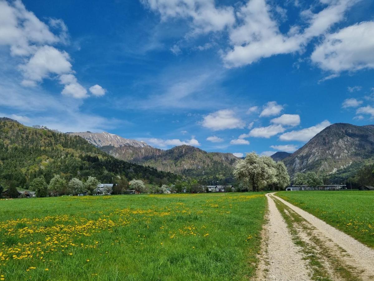 Apartma Ana In Manca Begunje na Gorenjskem Esterno foto