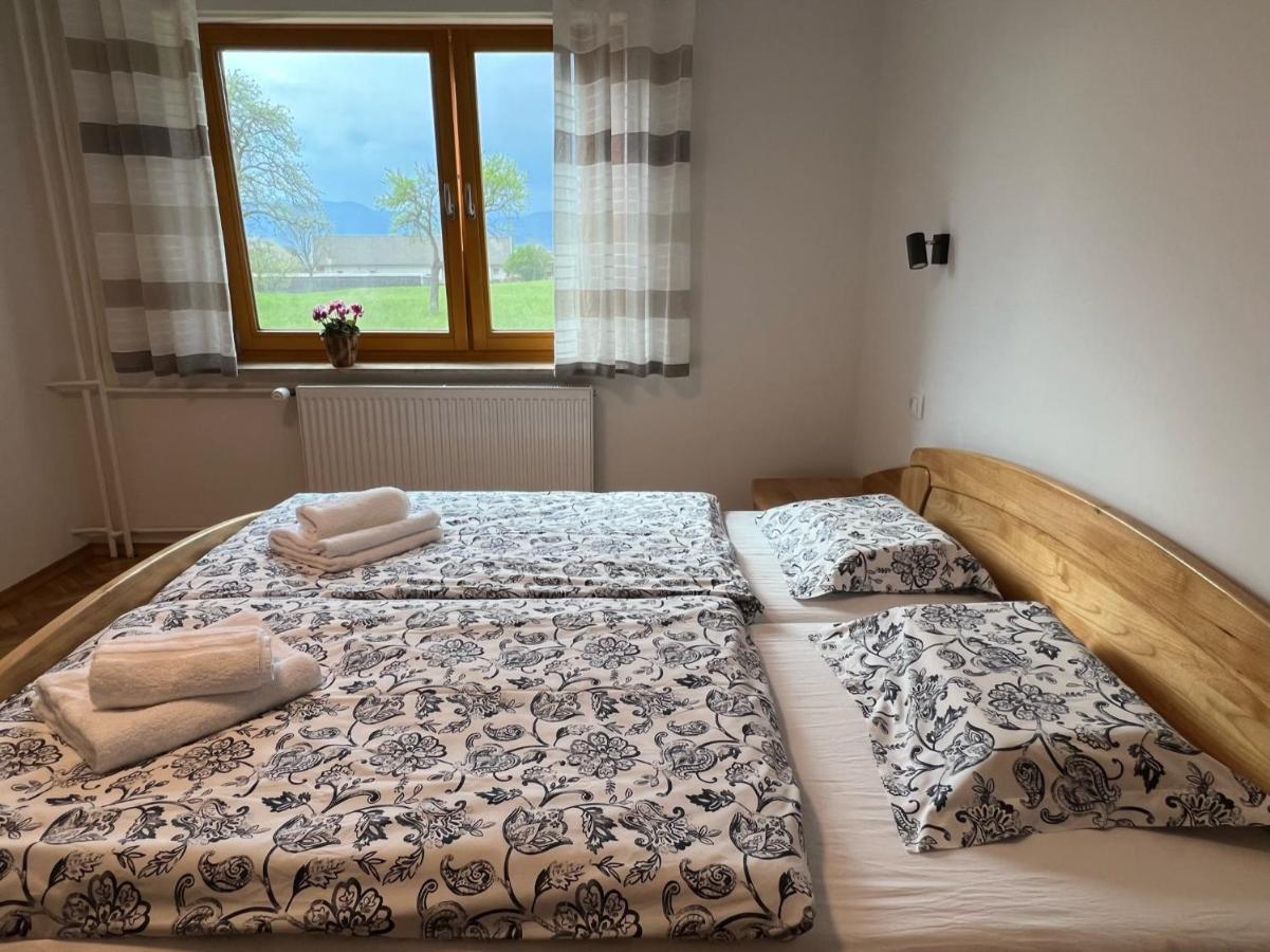 Apartma Ana In Manca Begunje na Gorenjskem Esterno foto