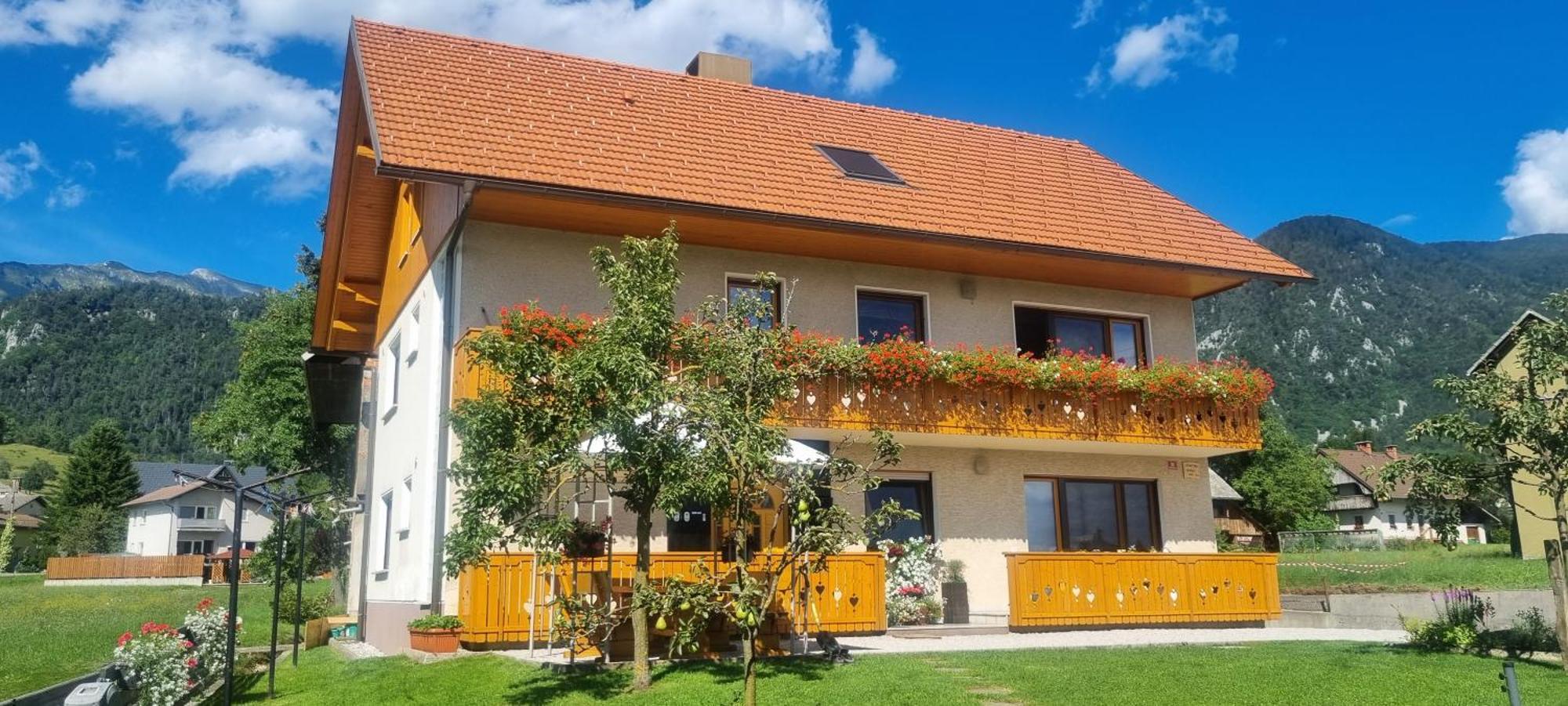 Apartma Ana In Manca Begunje na Gorenjskem Esterno foto